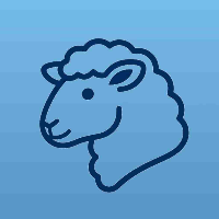 Sheep5
