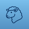 Sheep5