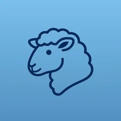 Sheep5